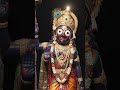 जगन्नाथ चक्का नैन नीलाचल वाले | Jagannath Song | Puri Jagannath Bhajan 2026 | Bajao Bhakti