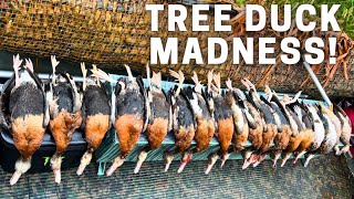 Whistling Duck BEATDOWN in SOUTH LOUISIANA!