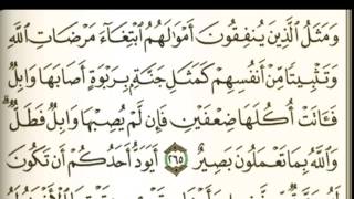 سورة البقرة - من آية ( 265 ) إلى آية ( 269 ) صوت وصورة - للشيخ / محمد أيوب #45 الوصفف 》