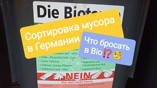 Сортировка мусора в Германии. Что бросать в Био-контейнер.⁉️🧐🍓🌲☘️