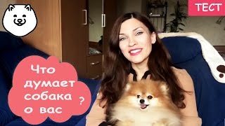 Что думает о вас ваша собака?ТЕСТ Что думает о вас ваша собака?ТЕСТ