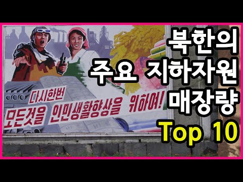 정부가 추정하는 북한의 주요 광종별 지하자원 매장량 Top 10