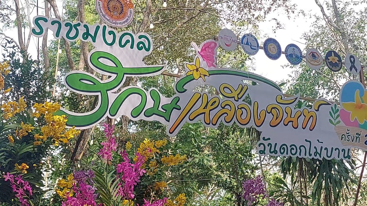 คนรักกล้วยไม้ต้องชอบ 