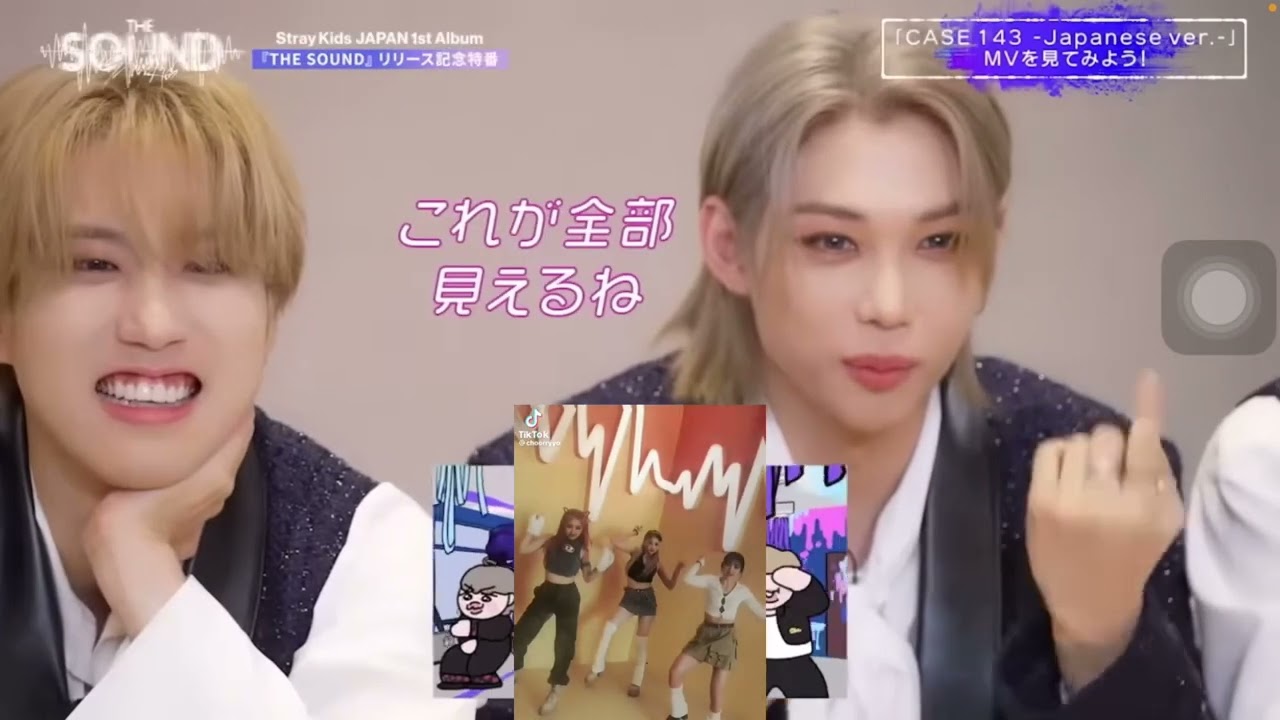 stray kidoos react to edits in my camera roll