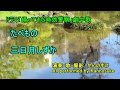 帰ってきた時効警察　劇中歌　たべもの　三日月しずか　カバー