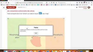 Présentation Moodle