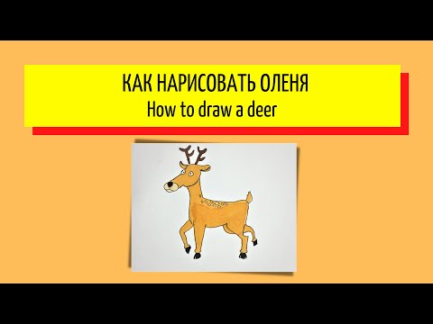 Как нарисовать оленя - How to draw a deer