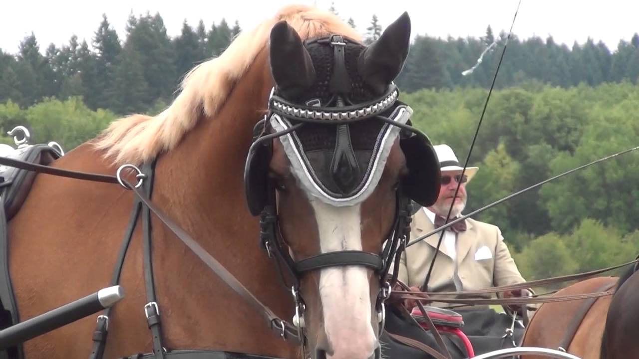 the CDE at Inavale; July 2016