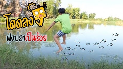 กระโดดน้ำ ลงกลางฝูงปลา หลักร้อย | เด็กตกปลา