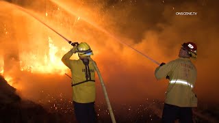 Arson Eucalyptus Tree Fires | Ventura