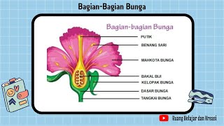 BAGIAN - BAGIAN BUNGA DAN FUNGSINYA (Materi Tema 1 Kelas 6 SD)