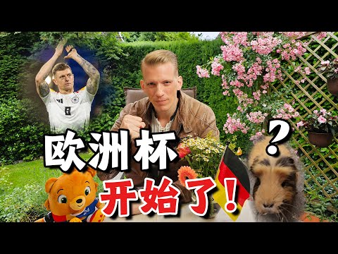 范志毅喊我们来看欧洲杯，天竺鼠预测德国队的命运!