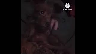 Preview 2 Peanut Effects Hyperextended