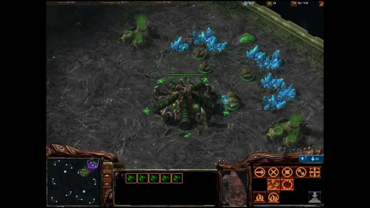 Уроки WhiteRa - Урок 1 - Выбираем свою расу (Зерги)