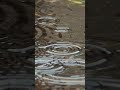 Rain Sounds - Deep Relaxation Ambience for Sleep