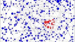 Celebrity Agent Based Model: Information Flows on Networks #4 Wealth