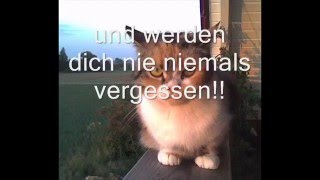 Wir vermiss dich