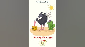 DOP 2 Level 53 #dop2 #puzzle #dop2deleteonepartlevel5 #gameplay #puzzlegame #gaming #puzzlesolving