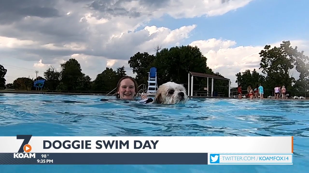 Doggie swim day at the Pittsburg Aquatic Center YouTube