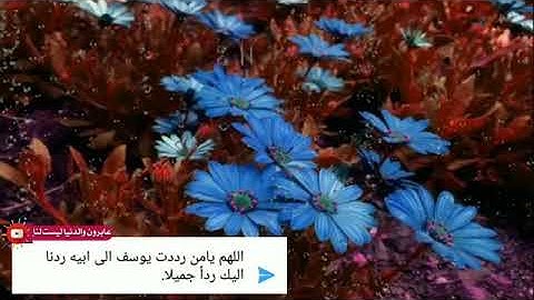 قران كريم بصوت جميل جدا// حالات واتس اب دينية// آيات من سورة يوسف// بصوت سعدون حمادي/ تلاوة خاشعة