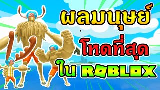 Roblox Steve S One Piece Ep4 ผลแม กม า หม ดลาวาพ ฆาต Magumagu No Mi - roblox steve s one piece ep4 ผลแม กม า หม ดลาวาพ ฆาต magumagu no mi