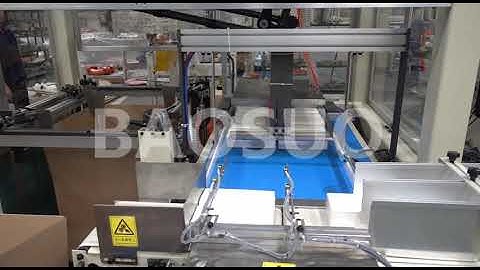 【BAOSUO】CP15B Robotic Arm Case Wrapper/ Paper Tissue Packing Machine