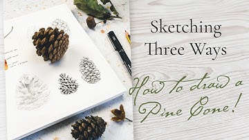 Sketching Pine Cones | How to Draw Complex Objects in a Simple Way