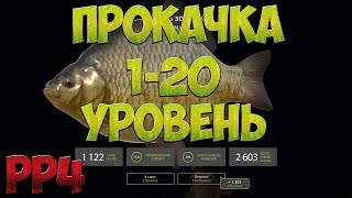 Русская Рыбалка 4: Прокачка с 1 по 20 уровень (доночник)