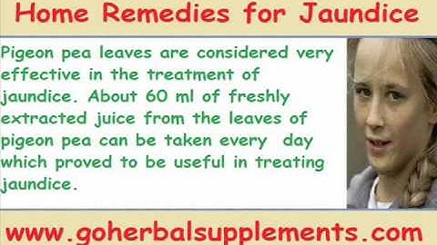 Effective Home Remedies for Jaundice from goherbalsupplements