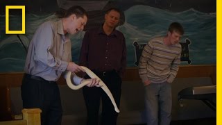 A Curious Spectator | Snake Salvation