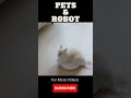 Cute Moments of Pets with Robots 😂 #shorts #robots #petrobots