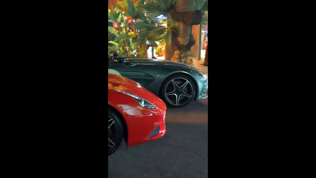 COYA Monte-Carlo 2023