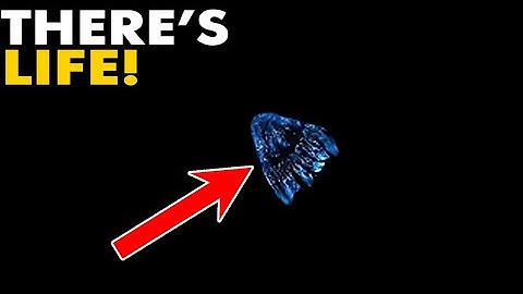 7 MINUTES AGO: Voyager 1 Just Made Contact With An Unknown Force In Interstellar Space