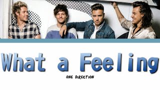 One Direction  What A Feeling S color Codeed