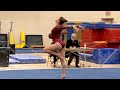 High School Gymnastics: Champlin Park vs. Maple Grove