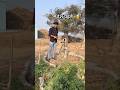 नल 🚰 में क्या निकला 😮#waterpump #viral #trending #viralvideo #explorepage #schoollife