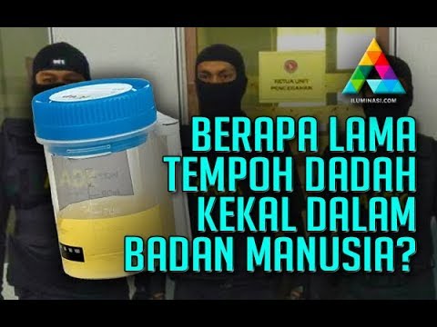 Video: Berapa Lamakah CBD Kekal Dalam Sistem Anda?