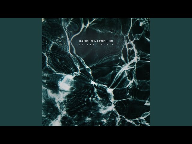 Abyssal Plain