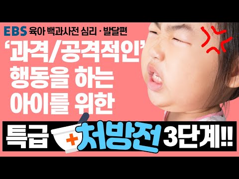 [EBS 육아 백과사전 심리·발달편] 과격/공격적인 아이를 위한 특급 처방전