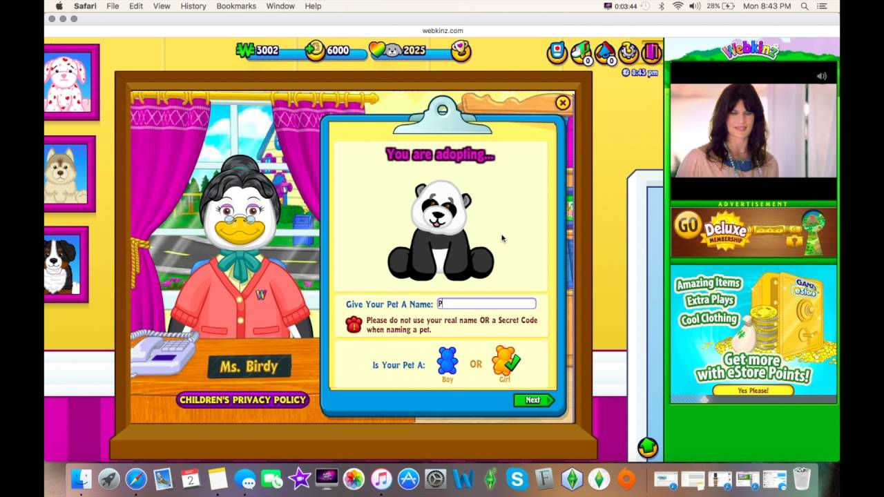 How to Adopt a Webkinz Pet! YouTube