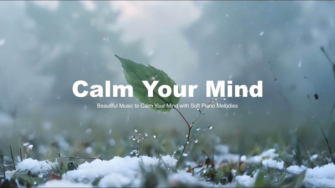 Beautiful Music to Calm Your Mind 🌿 with Soft Piano Melodies and Calms the Mind