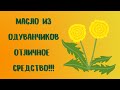 Масло из одуванчиков Отличное средство!!!