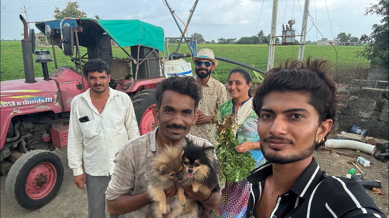 આપડી વાડીએ ટ્રેક્ટર થી દવા છાટવાની બઘડાટી ✅.             ||@HARDIKODEDRA02  ||