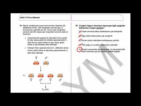 2018 TYT BİYOLOJİ SORU ÇÖZÜMLERİ