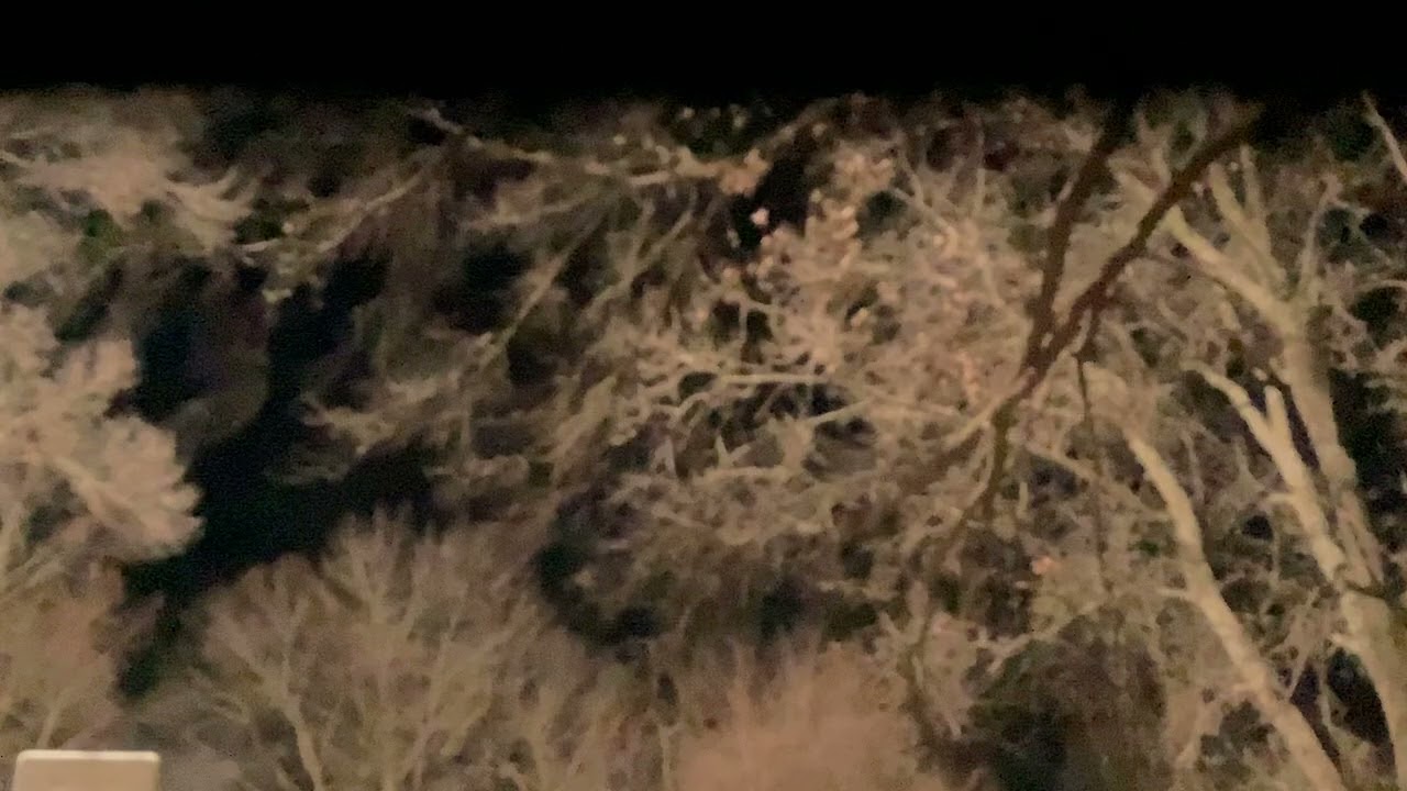 2026 New Year Gunfire And Fireworks!!!