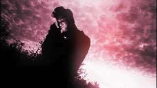 Mister Lies - Cleam | HD