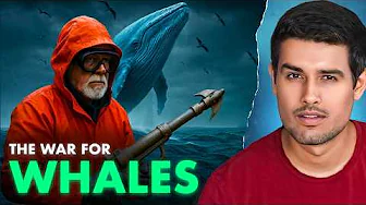 Inside Antarctica’s Secret Whale War | Dhruv Rathee