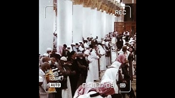 قبس من الحرم سورة التين الشيخ عبدالمحسن القاسم