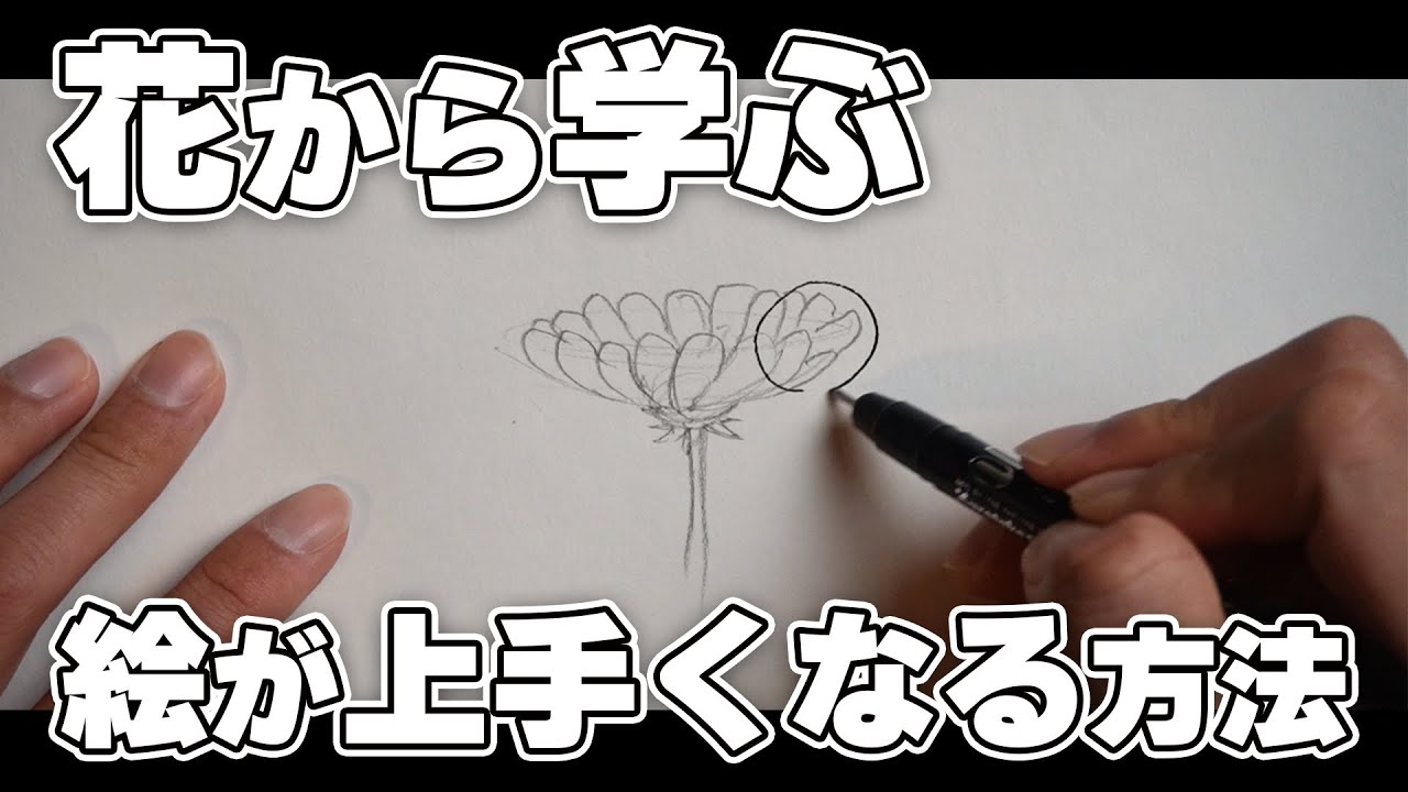 For beginners] How to improve your drawing skills by learning from