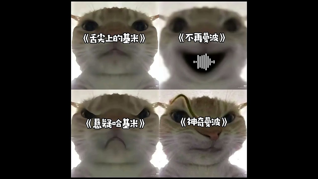 哈基米歌曲选集 